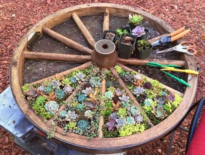 Wagon Wheel Garden...such a neat idea for planting flowers!