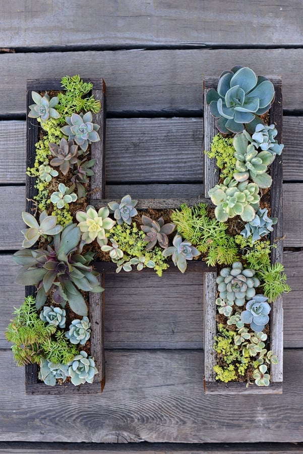 DIY Wall Mounted Succulent Plant Letter