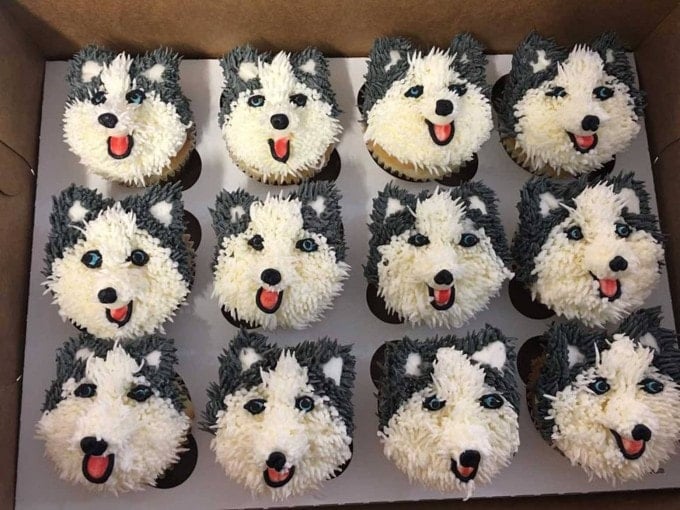 Husky Dog Cupcakes...these are the Cutest Cupcake Ideas!