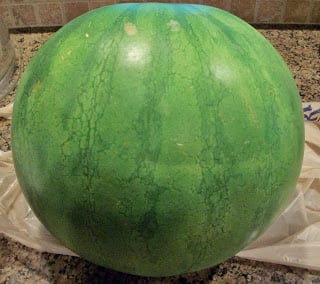 Star Wars Yoda watermelon!