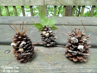 Pine Cone People