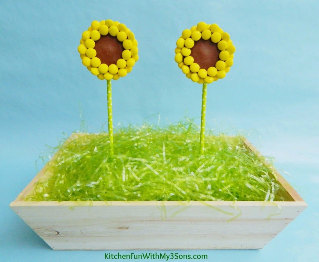 Reese's Peanut Butter Cup Sunflower Pops
