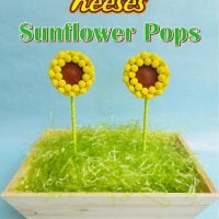 reese's sunflower pops