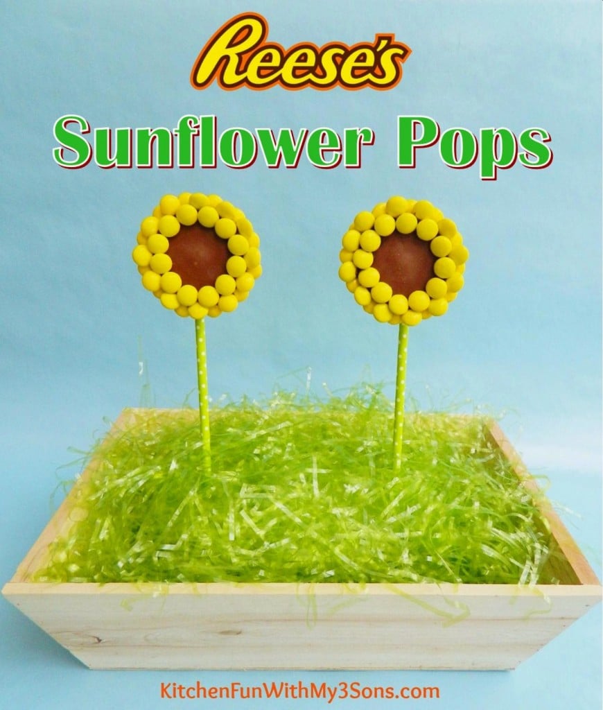 Reese's Peanut Butter Cup Sunflower Pops