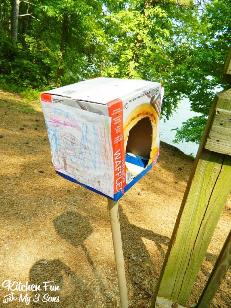 My oldest created this bird house using a waffle box & tube