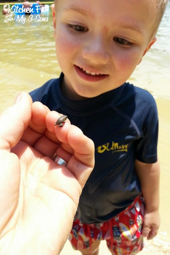 Boy with baby frog