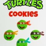 Teenage Mutant Ninja Turtle Cookies Pin