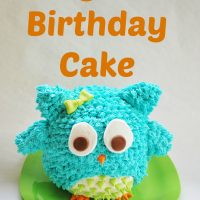 Easy Owl Birthday Cake