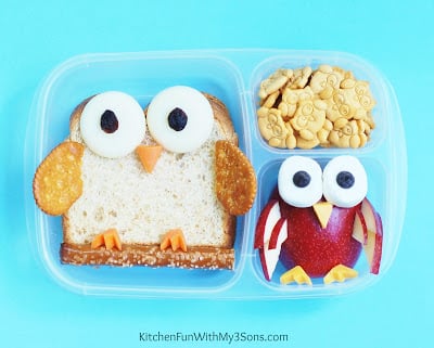 Owl Back to School Bento Lunch from KitchenFunWithMy3Sons.com