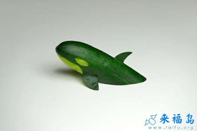 A fresh cucumber decorated to look like a killer whale