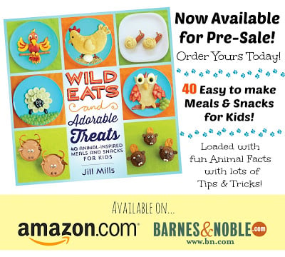 A promotional image featuring the cover of Jill's cookbook for kids – Wild Eats & Adorable Treats