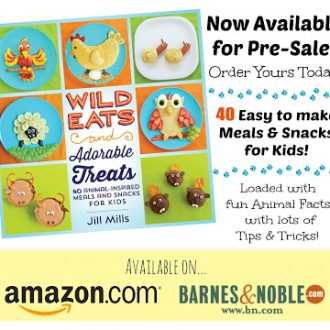 A promotional image with a photo of the cover of Wild Eats and Adorable Treats, Jill's cookbook for kids