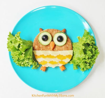Owl Lunch... a fun & healthy lunch for kids from KitchenFunWithMy3Sons.com