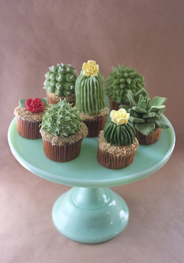 Cactus Cupakes