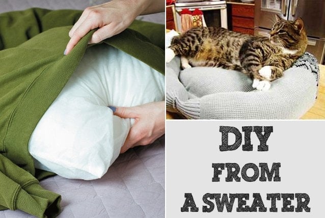 DIY Sweater Pet Bed
