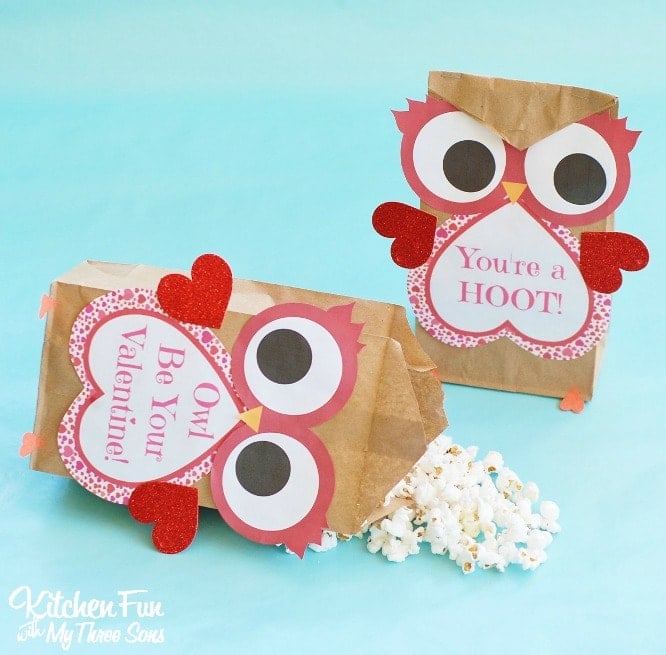 Valentine Owl Paper Treat Bag with a Free Printable...a fun craft the kids can make & give to their friends on Valentine's Day from KitchenFunWithMy3Sons.com