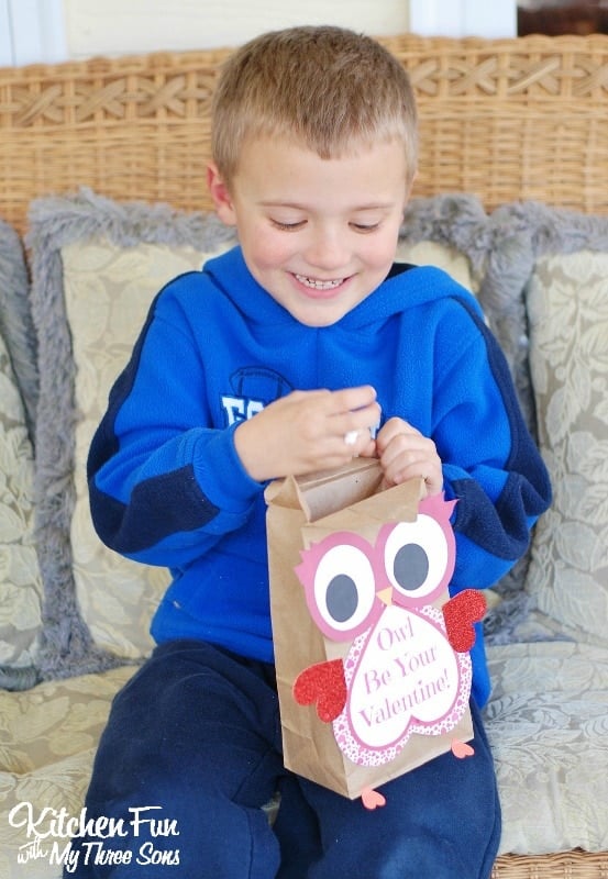 Valentine Owl Paper Treat Bag with a Free Printable...a fun craft the kids can make & give to their friends on Valentine's Day from KitchenFunWithMy3Sons.com