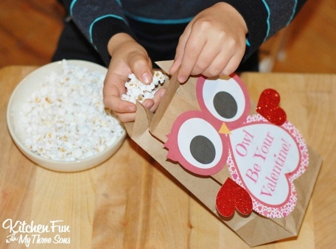 Valentine Owl Paper Treat Bag with a Free Printable...a fun craft the kids can make & give to their friends on Valentine's Day from KitchenFunWithMy3Sons.com