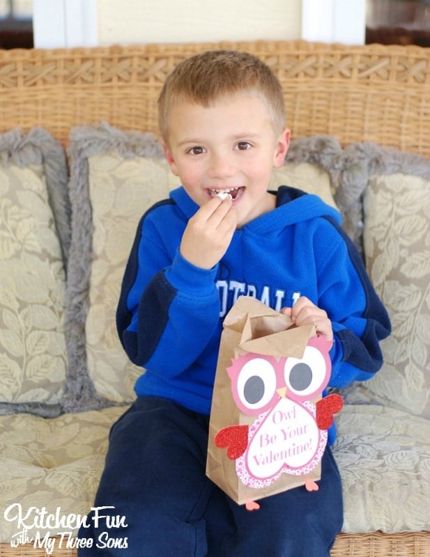 Valentine Owl Paper Treat Bag with a Free Printable...a fun craft the kids can make & give to their friends on Valentine's Day from KitchenFunWithMy3Sons.com