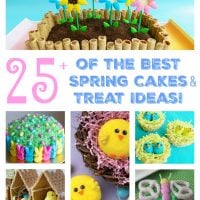 The BEST Spring Cakes & Treat Ideas for Easter!