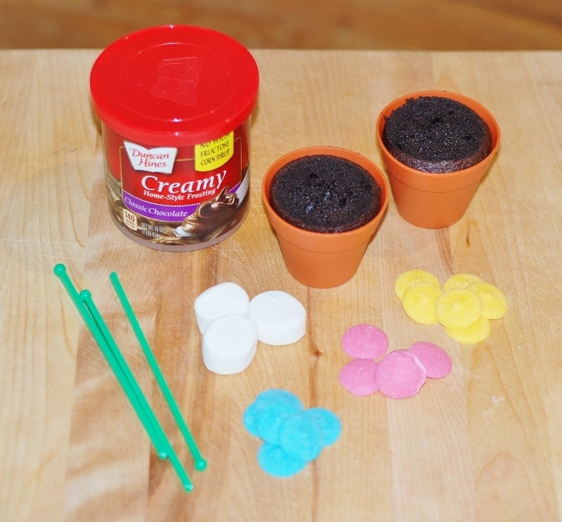 Flower Pot Cupcakes 