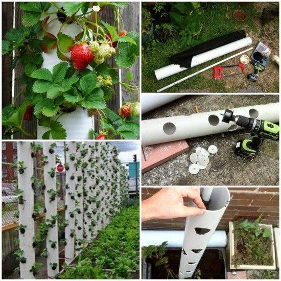 How to make a Vertical Strawberry Tube Planter