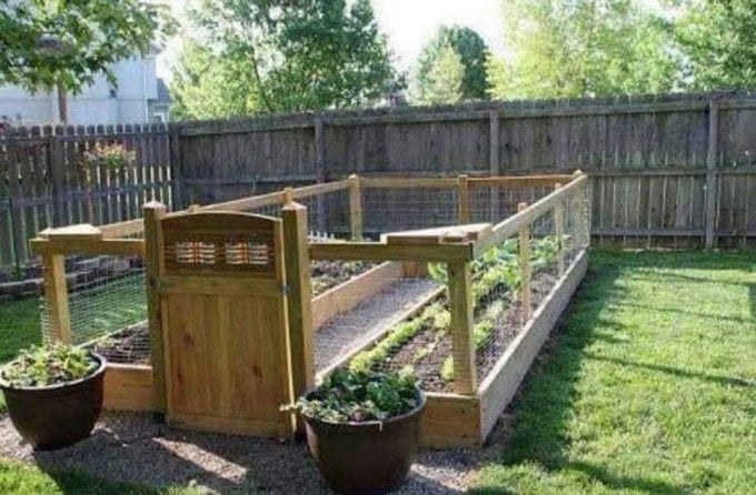 Raised & Enclosed Garden Bed to keep the critters out