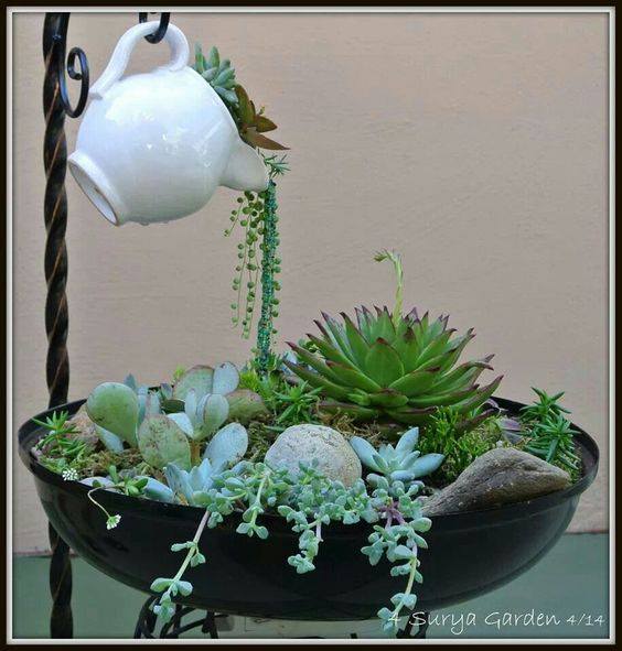 Tea Kettle Succulent Display...these are the BEST Garden Ideas!