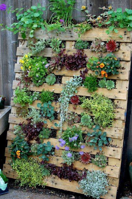 Succulent Pallet Garden...these are the BEST DIY Garden & Yard Ideas!