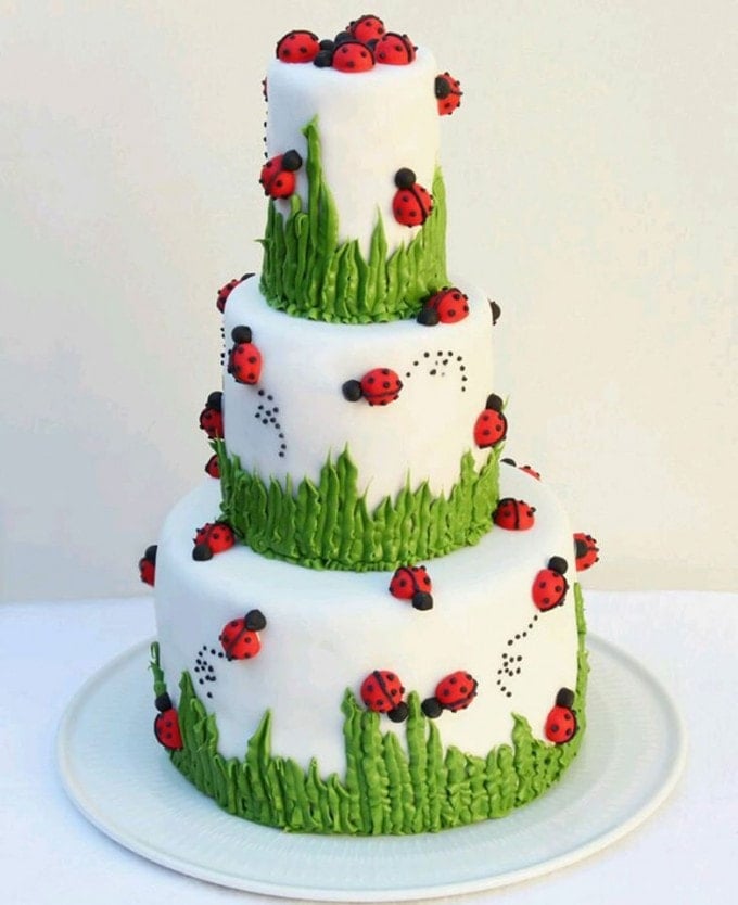 Ladybug Cake...adorable!