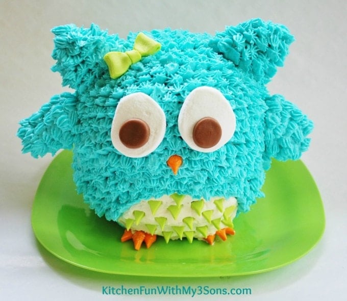 Easy Owl 3D Cake...makes a fun Birthday or Smash Cake from KitchenFunWithMy3Sons.com