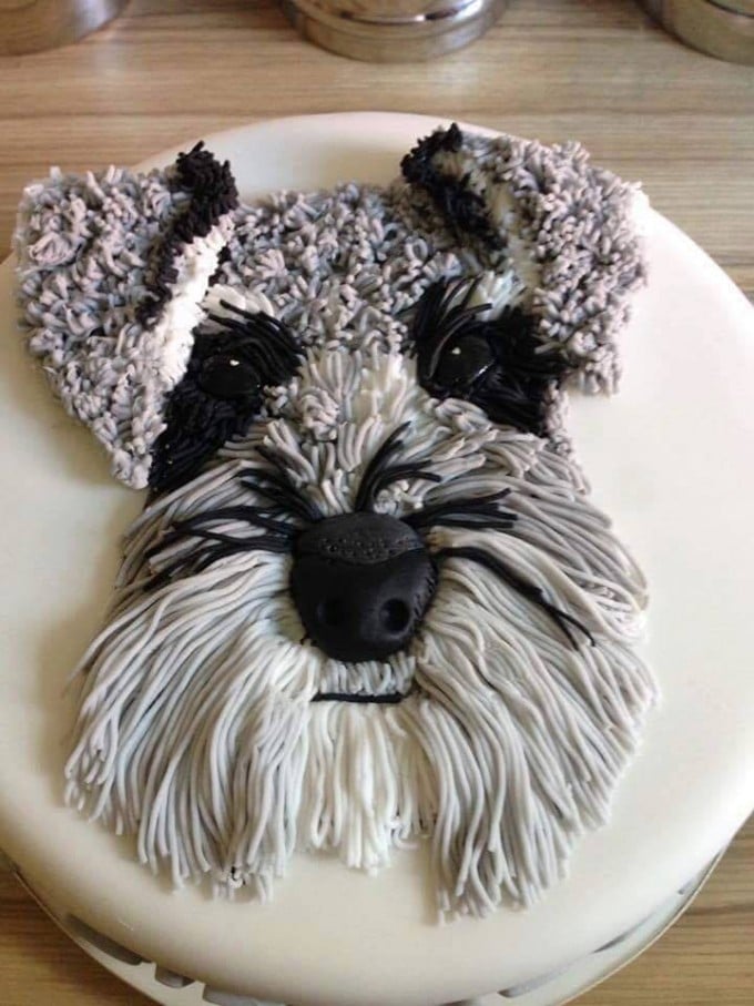 Schnauzer Cake...these are the BEST Cake Ideas!