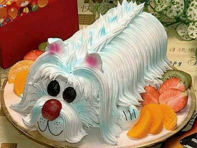 Dog Cake...these are the BEST Cake Ideas!