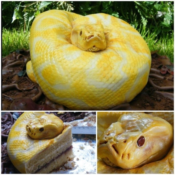 Snake Cake...these are the BEST Cake Ideas!