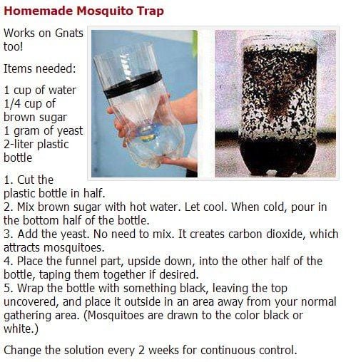 Homemade Mosquito Trap for Camping Trips!