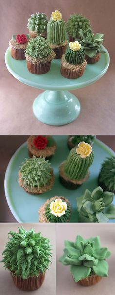 House Plant Cactus Cupcakes...these are the BEST Cupcake Ideas!