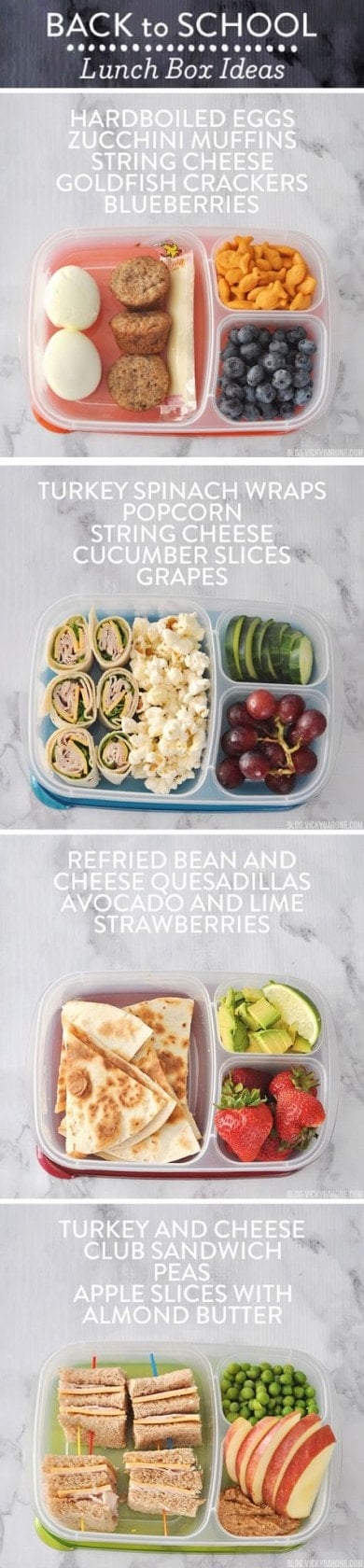 School Lunches for the Kids  Toddler Lunch Ideas - Home of Malones