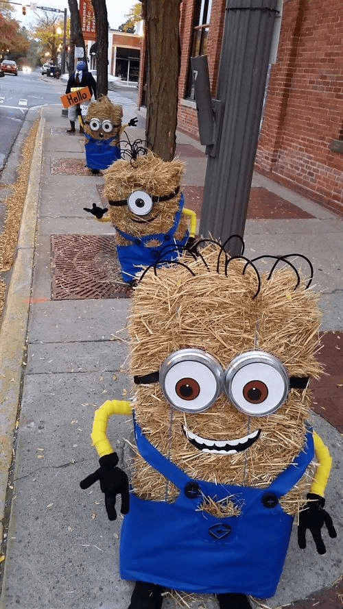 Minion Hay Bales for Fall!