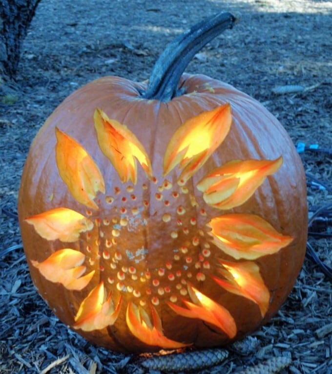 Sunflower Pumpkin...these are the BEST Decorated & Carved Pumpkin Ideas for Halloween!