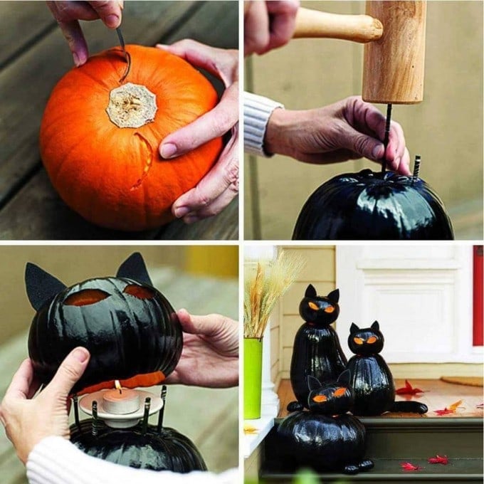Black Cat Jack-O-Lantern...these are the BEST Decorated & Carved Pumpkin ideas for Halloween!