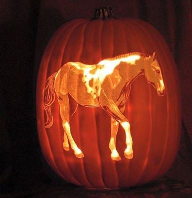 Carved Horse Pumpkin...these are the BEST DIY Decorated Pumpkin Ideas for Halloween!