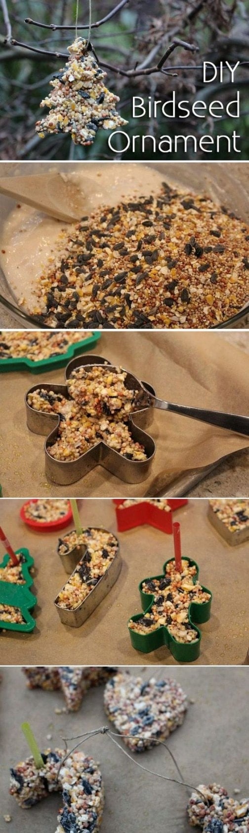 DIY Birdseed Ornaments...these are the BEST Homemade Christmas Ornament Ideas!