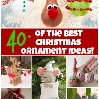Over 40 of the BESET Christmas Ornament Ideas!