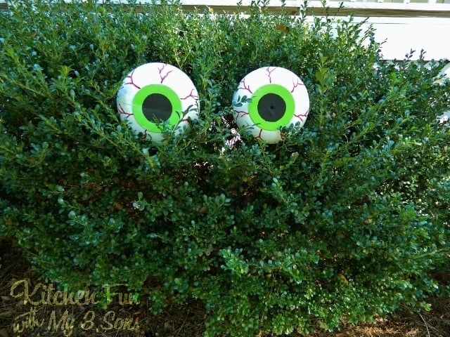 DIY Spooky Bush Eyes...these are the BEST Homemade Halloween Decorations & Craft Ideas!