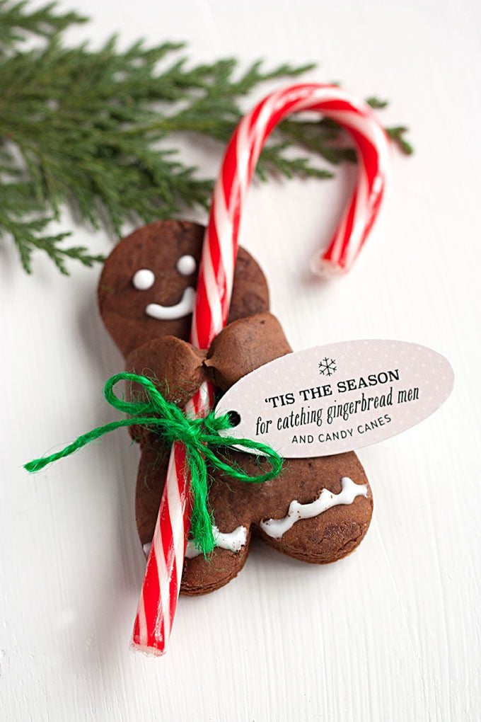 Chocolate Gingerbread Men holding Candy Canes...these are the BEST Christmas Cookie Recipes!