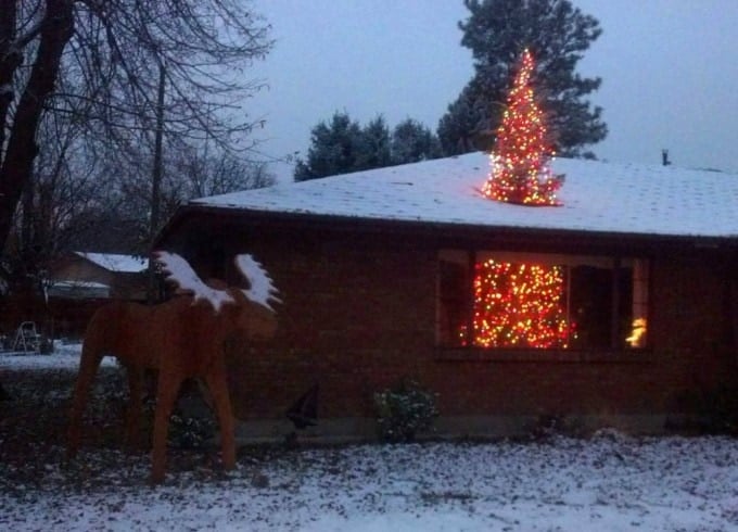 A fun joke to play on the neighbors using 2 Trees...these are the most Creative Christmas Trees!