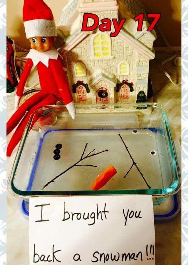 40+ of the Best Elf on the Shelf Ideas - Kitchen Fun With My 3 Sons