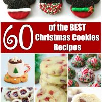 Over 60 of the BEST Christmas Cookie Recipes