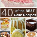 Over 40 of the BEST Cake Recipes!
