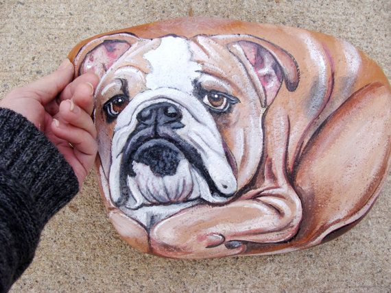 Bulldog Rock...these are the BEST Rock Painting Ideas!